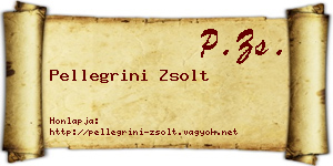 Pellegrini Zsolt névjegykártya